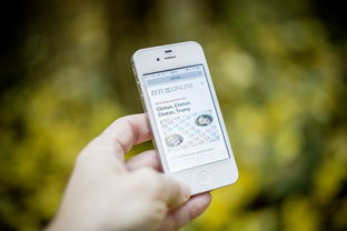 开云网页-智能化体育测评系统开发与适用性分析，体育考试智能化测试仪器